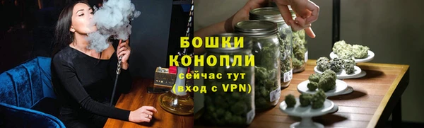 гидра Гусь-Хрустальный