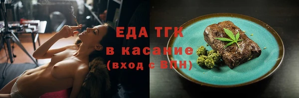 шишки Гусев