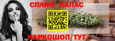 МДПВ Волгодонск