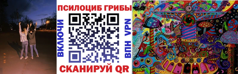где продают наркотики  Нововоронеж  Псилоцибиновые грибы Psilocybine cubensis 