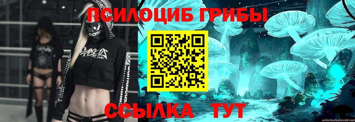 Нововоронеж  Галлюциногенные грибы Cubensis  Вход с VPN 