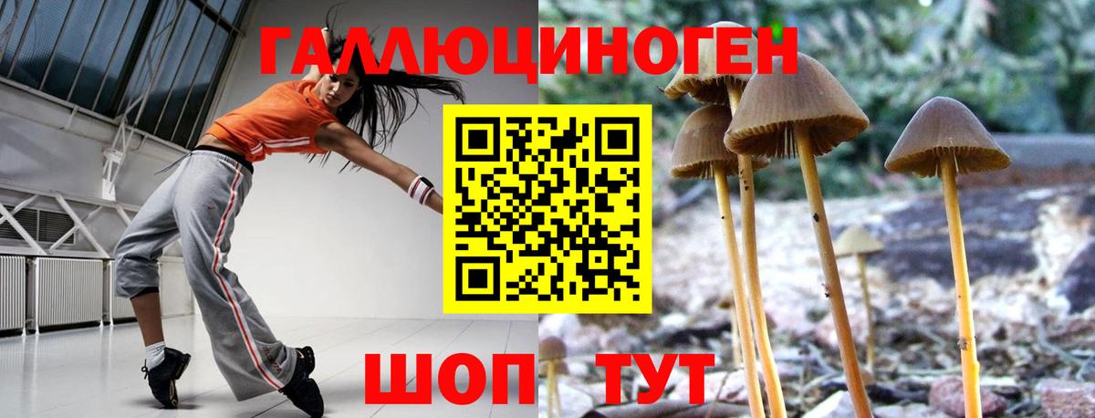 Галлюциногенные грибы GOLDEN TEACHER Нововоронеж